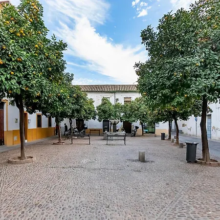 Apartamento El Yayo Pepe